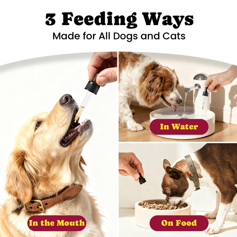 Gut & Joint Support Bundle for Dogs – Probiotic Powder + Liquid Glucosamine Drops
