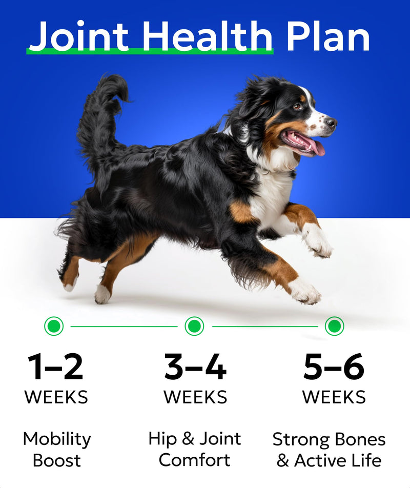 BARK&SPARK Glucosamine Chondroitin Dog Hip & Joint Supplement - Joint Pain Relief - Hip & Joint Chews - Joint Support Large Small Breed - Senior Doggie Vitamin Pill Joint Health 120Ct (Chicken) Hip&Joint (Mobility)