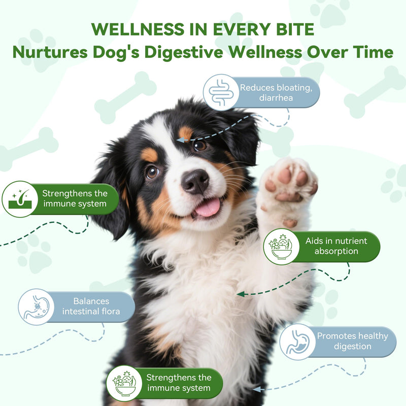 Probiotics for Dogs, Dog Probiotics for Gut Health, Digestive Support, Itchy Skin, Gas & Diarrhea Relief, Dog Probiotic with 6 Billion CFU Prebiotics & Digestive Enzymes, 100 Chews