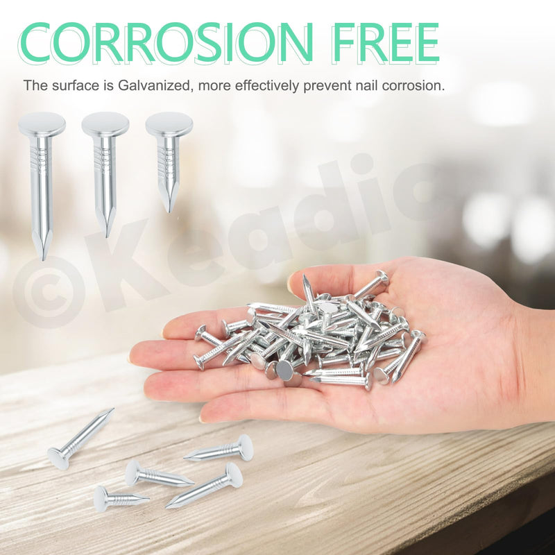 Keadic 300Pcs 1-1/4" Galvanized Roofing Felt Nails Bulk Set, 30mm Broad Head Pins House Hardware Nail for Roofing Felt Insulation Film Foam Board Asphalt Singles Fastening 1-1/4" (30mm)