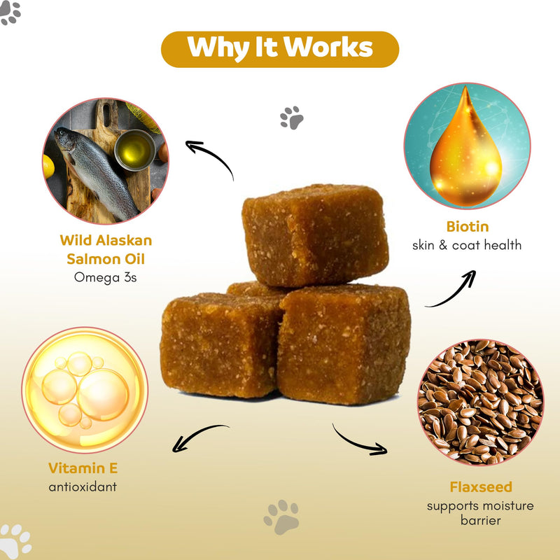 GINGER & CO. Skin & Coat Support Chews for Dogs – Omega 3 & Salmon Oil 120CT