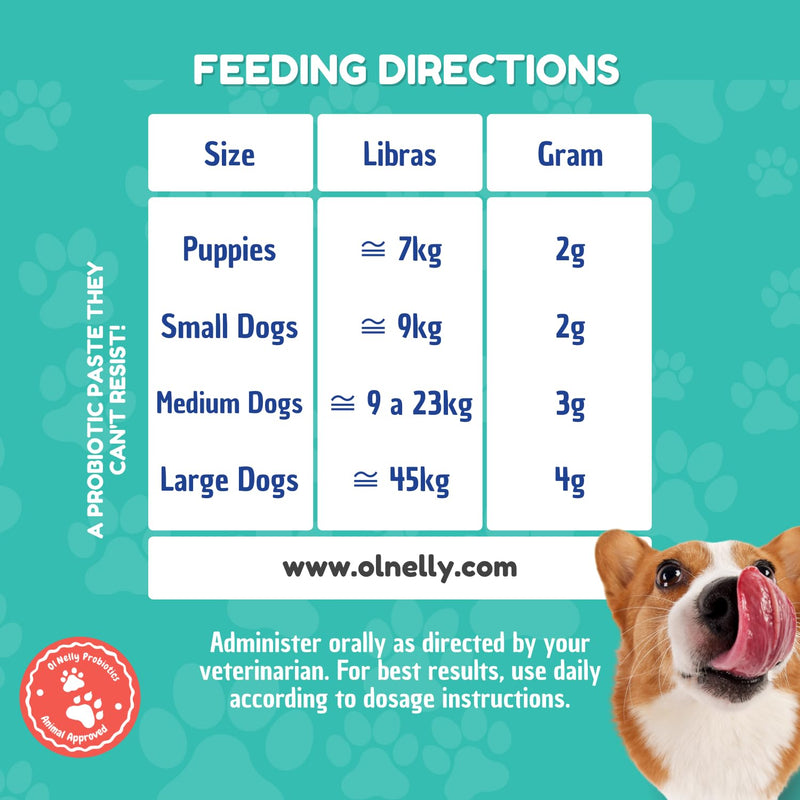 Prebiotic & Probiotic Dog Probiotic Paste, 6 Strains of Bacteria,18 Bi CFU's + Vitamins, Minerals- Upgraded Formula for Fast Balance GI, Dogs Probiotic Paste (14 g) Pack of 1 - PawsPlanet Australia