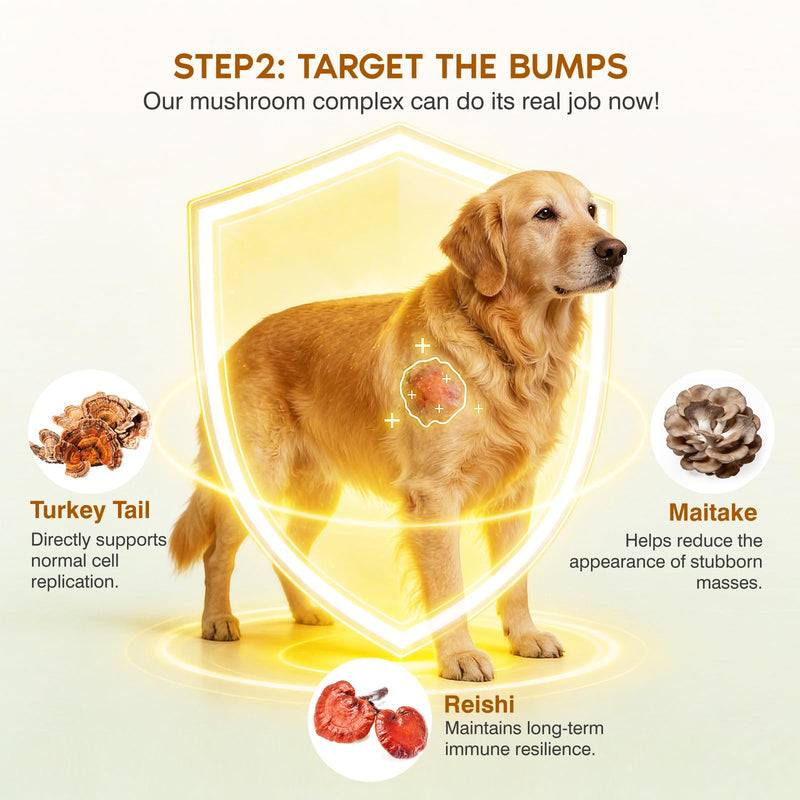 Turkey Tail Mushroom for Dogs,Senior Dog Supplement for Lumps, Bumps & Lipoma,Soft Chews with Reishi, Maitake, Turmeric & Astragalus,Supports Immune Health,Natural Chicken Flavor, 120 Count