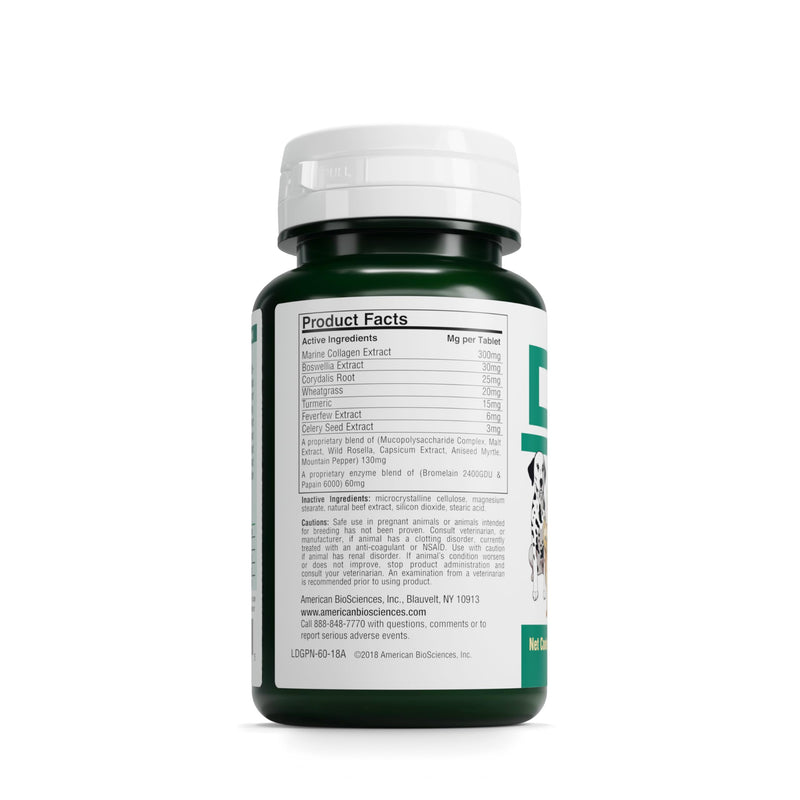 DGP 2-Pack, All-Natural Joint Supplement for Dogs - Joint Support with Turmeric, Boswellia Extract & More - Quick Effect for Immediate Mobility Support - 60 Chewable Pet Tablets - PawsPlanet Australia
