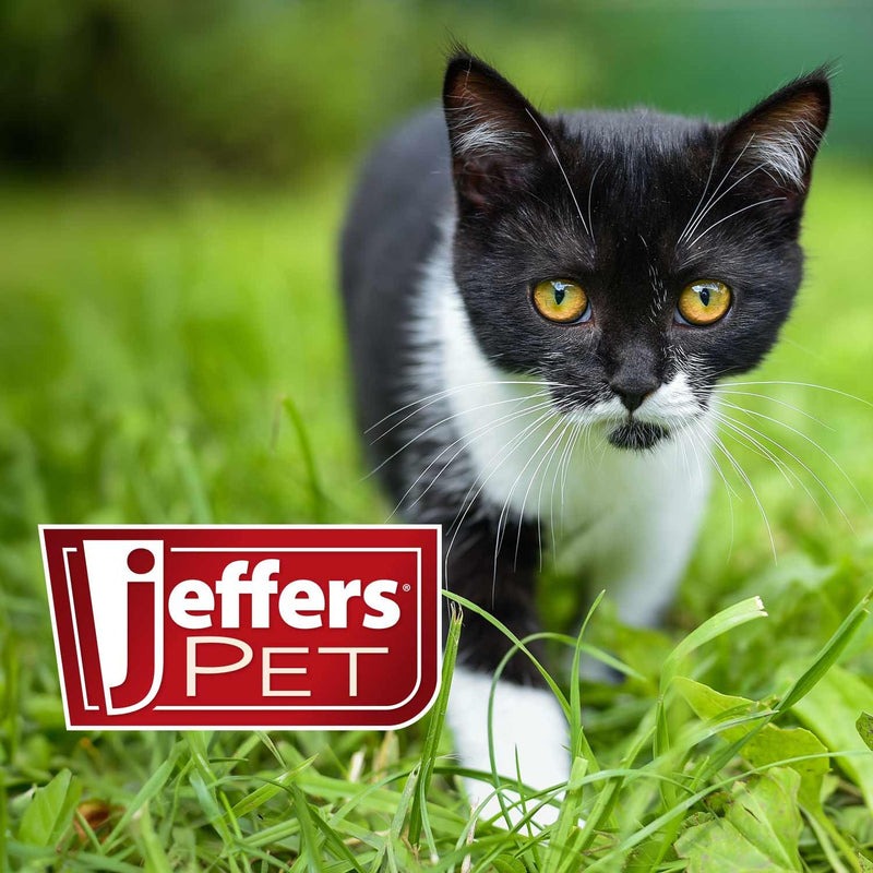 Jeffers Pet Flea Buster Chewable Tablets for Cats and Kittens 7-15 lbs, Tuna Flavor Supplements, Monthly Cat Flea Support, Made in USA, Easy to Feed Cat Tablets, Travel Friendly - 6 Count 7–15 lb