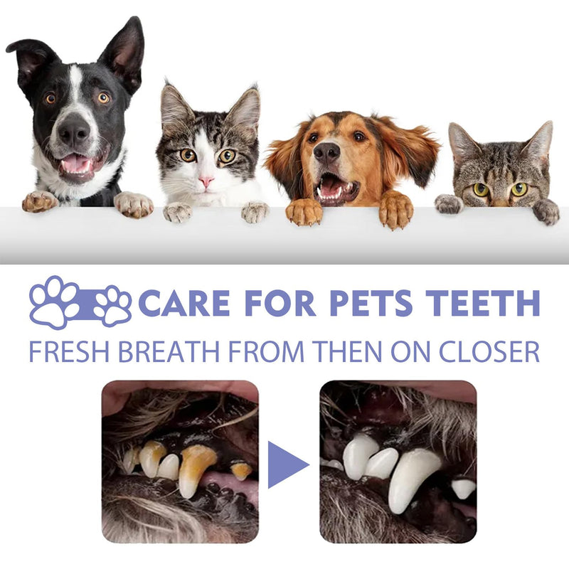 JoanofArc Pet Oral Spray, Teeth Cleaning Spray for Dogs and Cats, Pet Breath Freshener, Reduces Plaque Tartar Buildup, No Brushing, 30ml Each (2pcs)