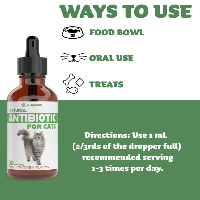 Natural Alternative Cat Antibiotic | Cat Antibiotics | Antibiotics for Cats | Antibiotic for Cats | Cat Antibiotics for UTI | Cat UTI | Cat UTI Treatment | Cat UTI Antibiotics | 1 fl oz (1)