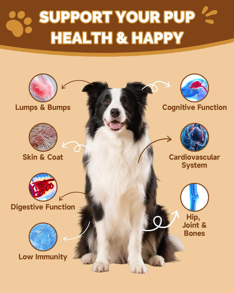 Hairball Treatment for Cats - Cat Hairball Remedy, Mushrooms for Dogs - Turkey Tail Mushroom for Dogs - Gut, Skin, Joint, Immune Health- Dog Lumps & Bumps