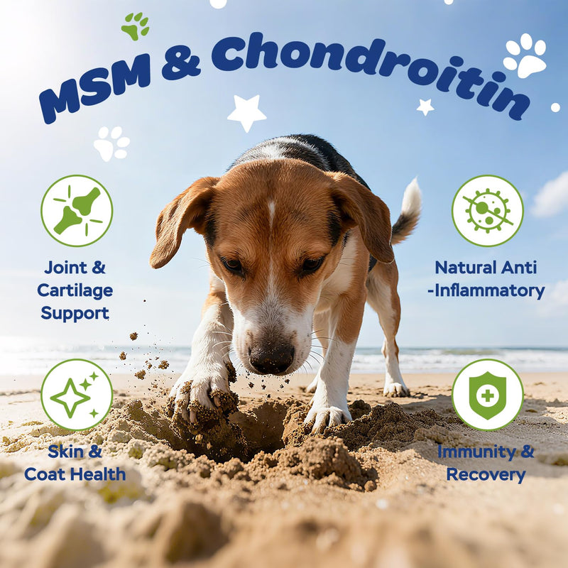 Dog Hip & Joint Supplement Chews with Glucosamine, Chondroitin & MSM – Joint Support Chews with Vitamins C & E for Dogs 120 Soft Chews