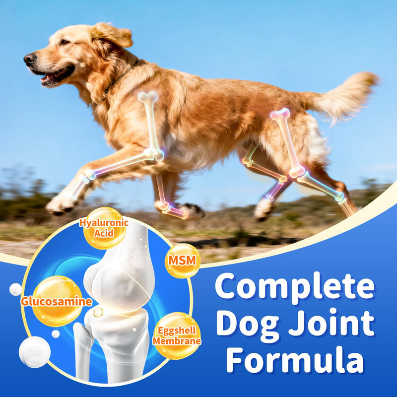 Senior Dog Liver & Joint Supplement – Same, Milk Thistle (Silybin), Glucosamine, MSM for Liver Health Detox, Mobility, Joint Pain Relief, Cognitive & Vitality Support, Chicken Flavor, 90Ct 90 Count (Pack of 1)