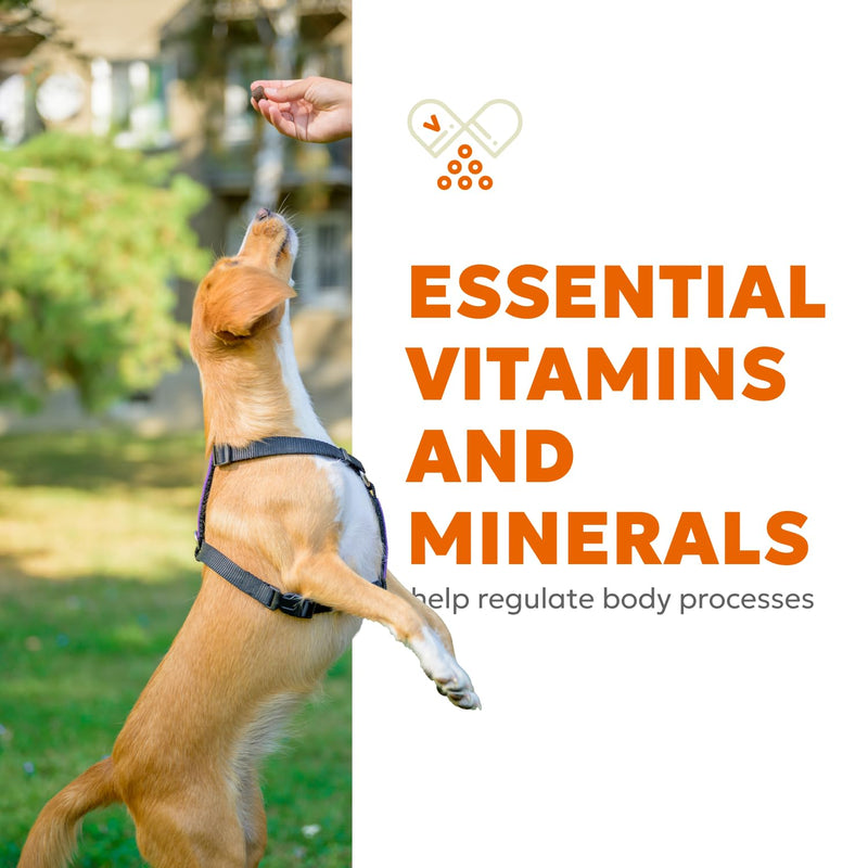 Canine Multi Soft Chews | Chewable Supplements for Dogs, Dog Supplement, Glucosamine, Chondroitin & Multivitamins | 60 Chews (180g, 6.35 oz.) - PawsPlanet Australia