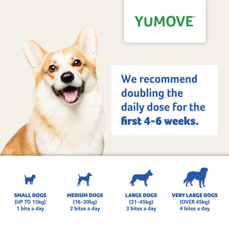 Lintbells YuMOVE Daily Bites For Senior Dogs | High Strength Hip and Joint Supplement Designed for Older, Stiff Dogs, with Glucosamine, Chondroitin, Green Lipped Mussel | Aged 9+ | 60 Chews, White 60 count - PawsPlanet Australia