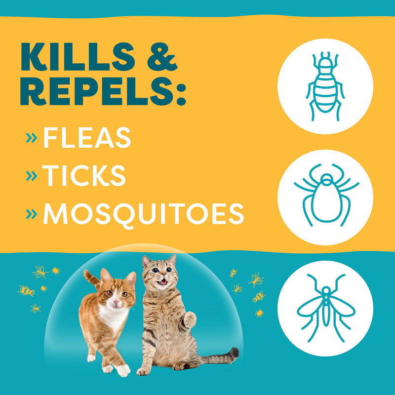 Only Natural Pet Flea and Tick Prevention for Cats - EasyDefense Flea Remedy - Natural Flea Treatment Control Squeeze-On Drops - Tick and Flea Protection - Three Months Supply (Single)