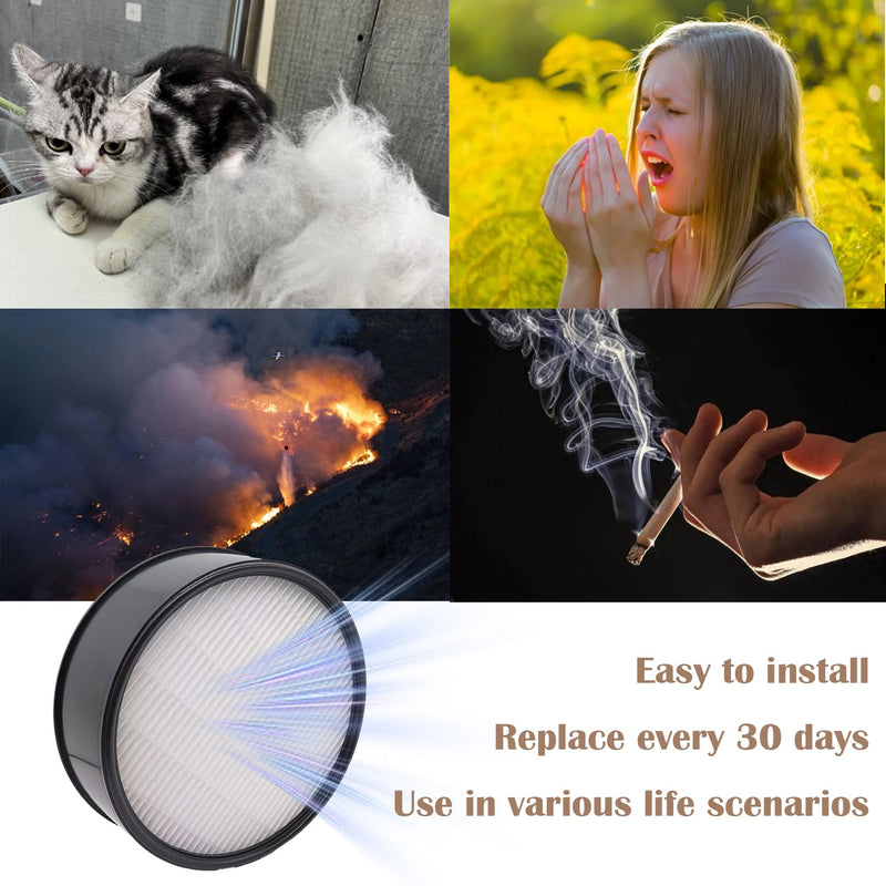 2 Pack HAP600B Filter for Holmes Egg Air Purifier 360° HAP600B-TU