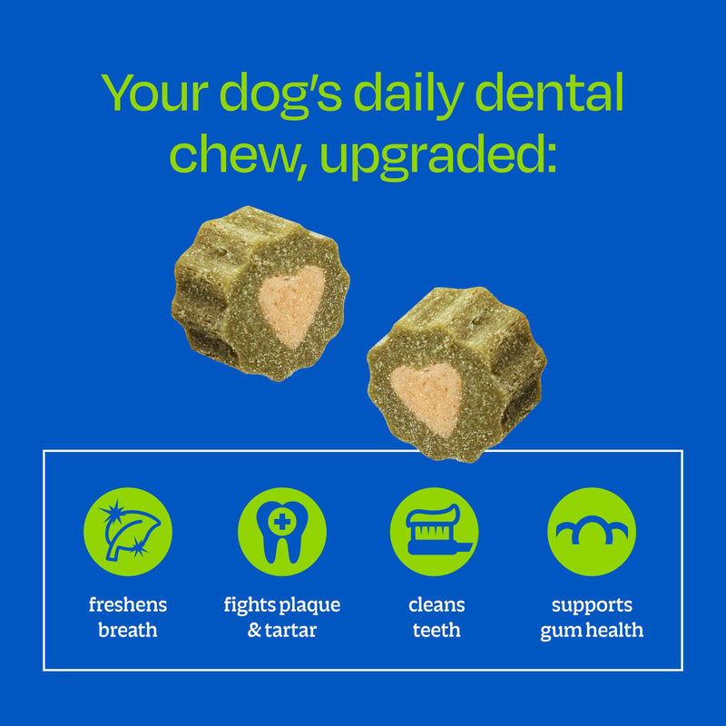 Ark Naturals Small Breed Soft Brushless Toothpaste + Breath Bursts Bundle - Vet Formulated Dog Dental Chews for Small Breeds - Helps Reduce Plaque & Tartar, Polishes Teeth, and Freshens Breath