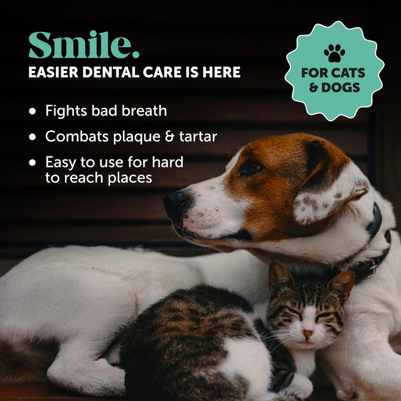 Pet Honesty Dog Dental Care Virtual Bundle – Dental Finger Wipes (30 Ct) + Brush Buddies Dental Sticks for Large Dogs (8 Ct) – Teeth Cleaning, Plaque & Breath Support