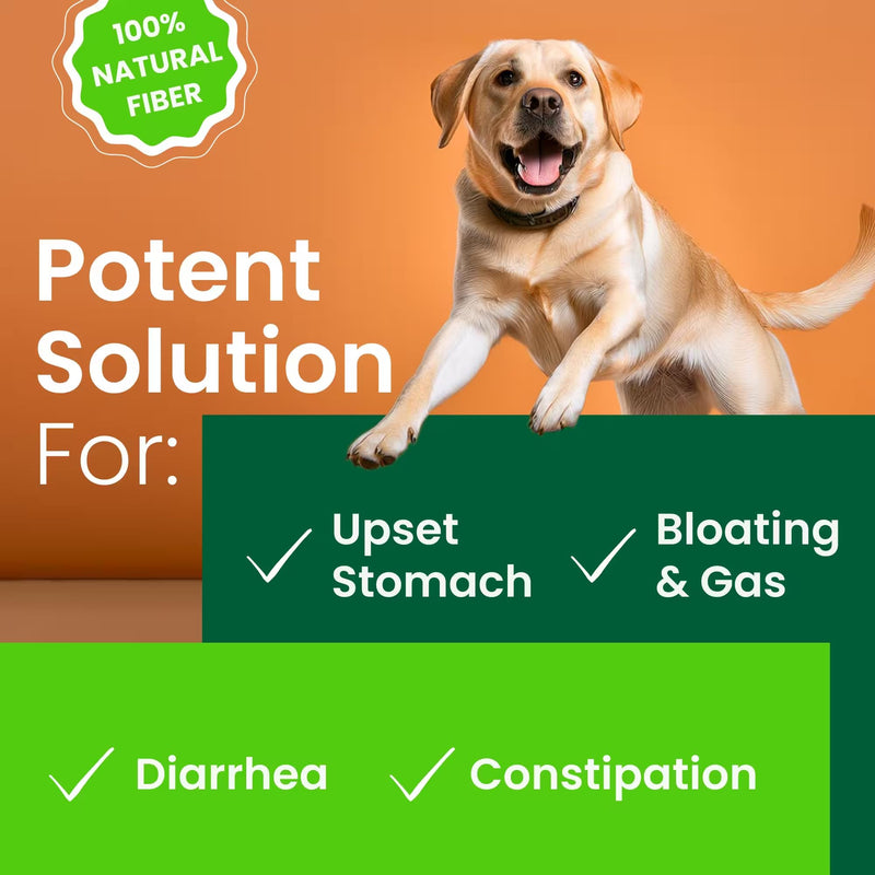 Pumpkin for Dogs - Apple, Pumpkin Seeds and Pumpkin Fruit - Fiber Supplement and Stool Softener - Diarrhea, Constipation, Upset Stomach, Food Sensitivity - Improve Digestion - 8oz Apple Flavor - PawsPlanet Australia