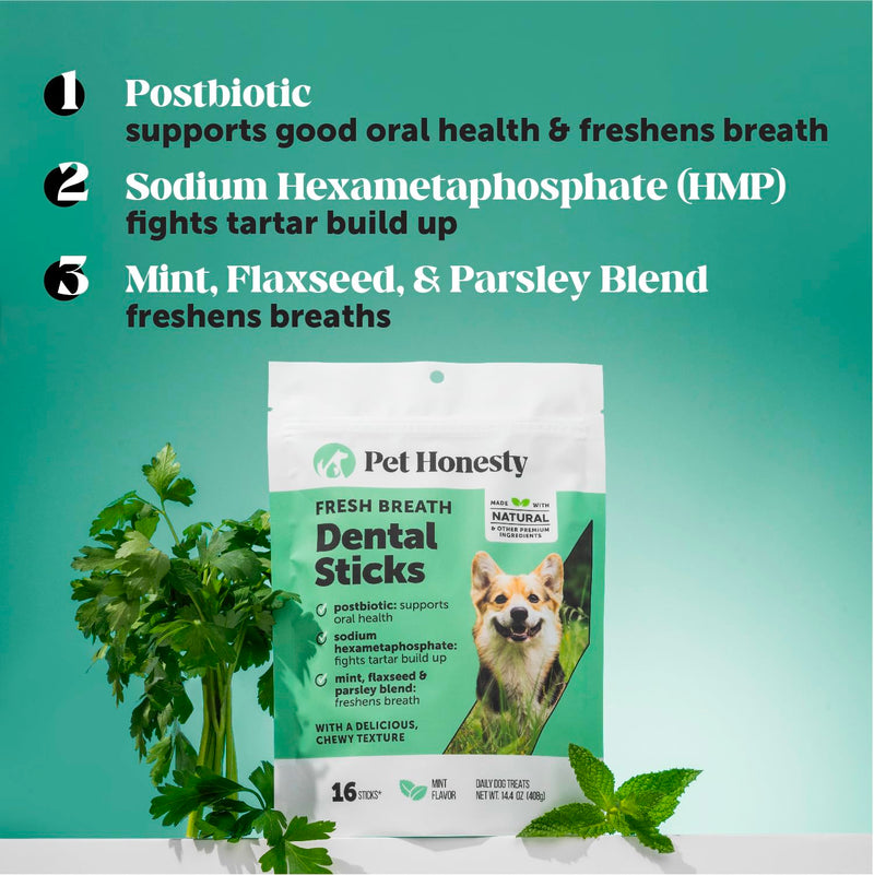 Dog Dental Treats Fresh Breath Sticks - Plaque and Tartar Remover for Dogs Teeth Cleaning Chews for Bright Teeth - Dog Dental Sticks for Oral Care, Gum Health + Bad Breath Treatment (Mint, 16 Ct)