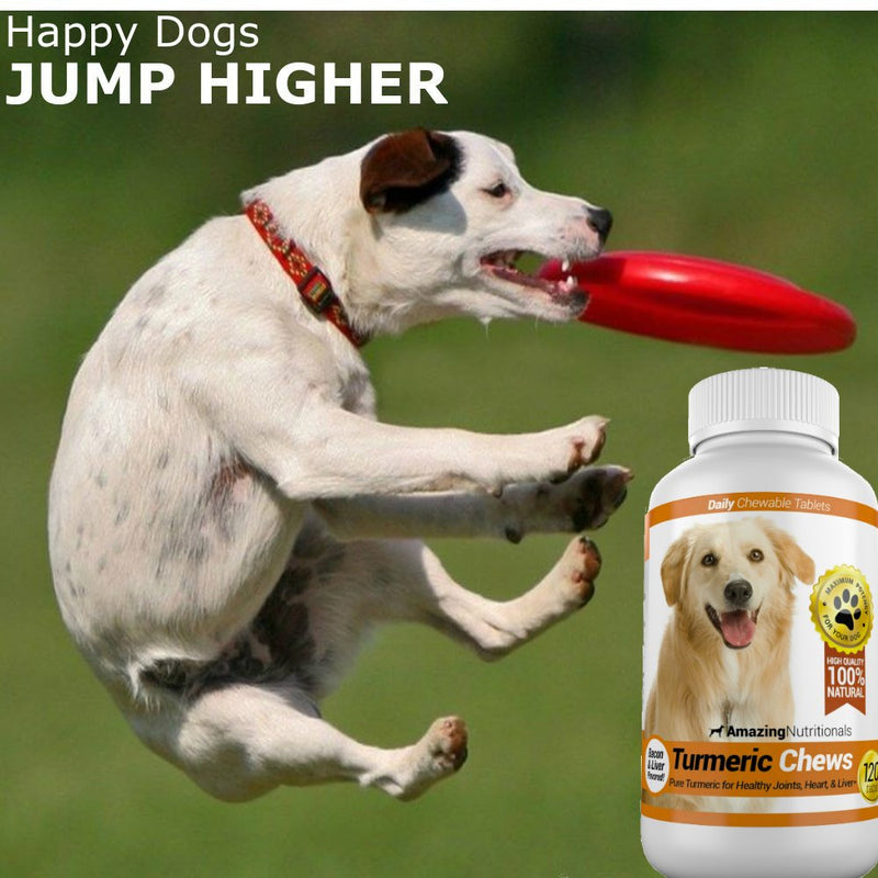 Amazing Turmeric for Dogs Curcumin Pet Antioxidant, Eliminates Joint Pain Inflammation, 120 Chews - PawsPlanet Australia