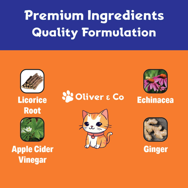 Natural Mange Treatment Cats - Feline Mange Treatment - May Help to Reduce Dry, Itchy, Red Skin, & Much More - Cat Immune Support - Cat Dandruff Treatment - 1 fl oz - Chicken Flavor