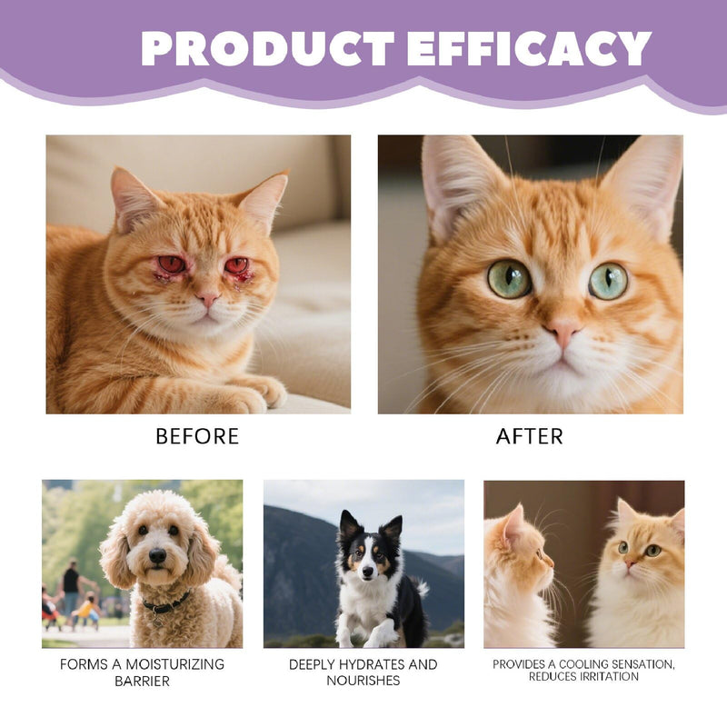 JoanofArc Eye Ointment for Dogs & Cats, Pet Eye Gel Gently Moisturizes Dry Eyes, Portable Daily Care Pet Balm for Pet Dogs & Cats Gentle Care, 0.53 oz/15g