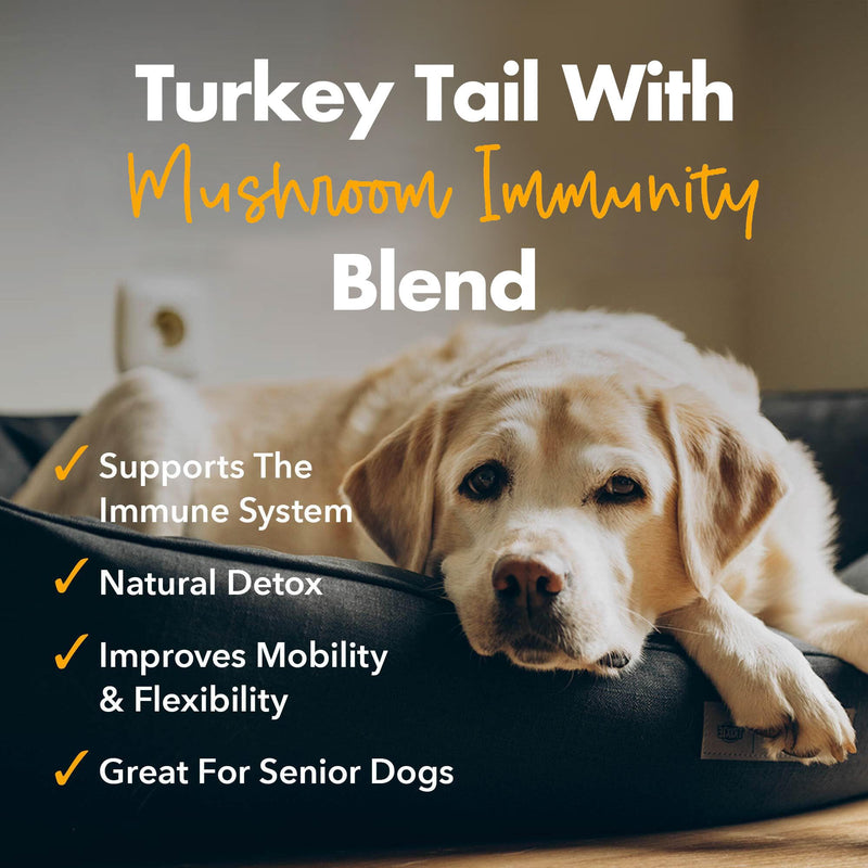 iHeartDogs Turkey Tail Mushroom for Dogs with Bone Broth and 6 Mushroom Blend Powder - PawsPlanet Australia