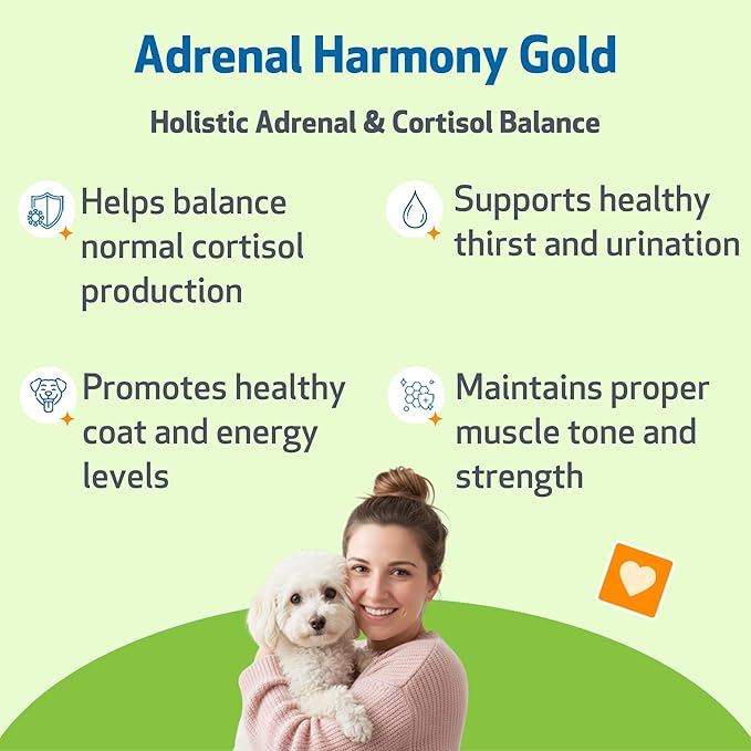 Pet Wellbeing - Adrenal Harmony Gold For Dogs- Natural Support For Adrenal Dysfunction And Cushing'S - 2 Ounce (59 Milliliter) - NewNest Australia