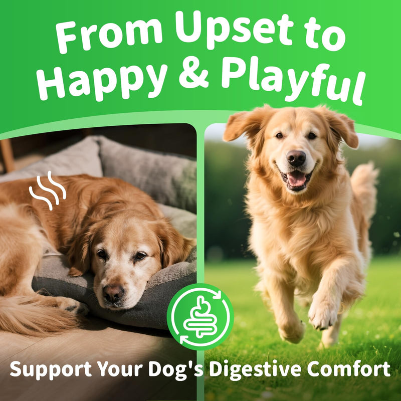 Dog Probiotics & Digestive Enzymes – Pumpkin Fiber Chews for Gut Health, Constipation& Upset Stomach Relief, Gas & Stool Support, Chicken Flavor Soft Chews – 90 Count 90 Count (Pack of 1)