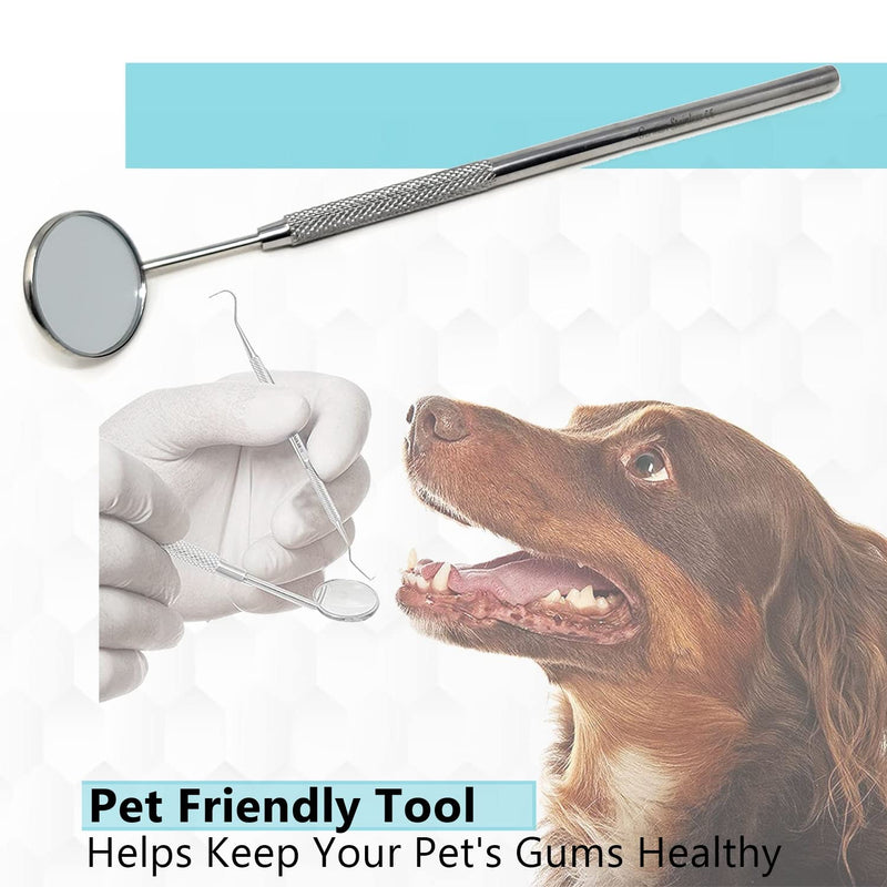 Stainless Steel Dental Mirror #5 with Handle 6.5", Dentist Tool for Teeth Cleaning Inspection