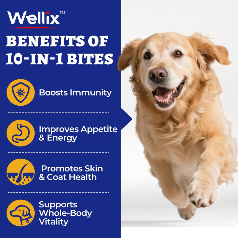 260 Bites Wellix 10-in-1 Dog Vitamins - Multivitamin for Dogs Immune Supports,Boost Hip&Joint,Skin&Coat,Liver&Gut Health -Dog Antioxidant Supplements 10-in-1 Multivitamin 260g