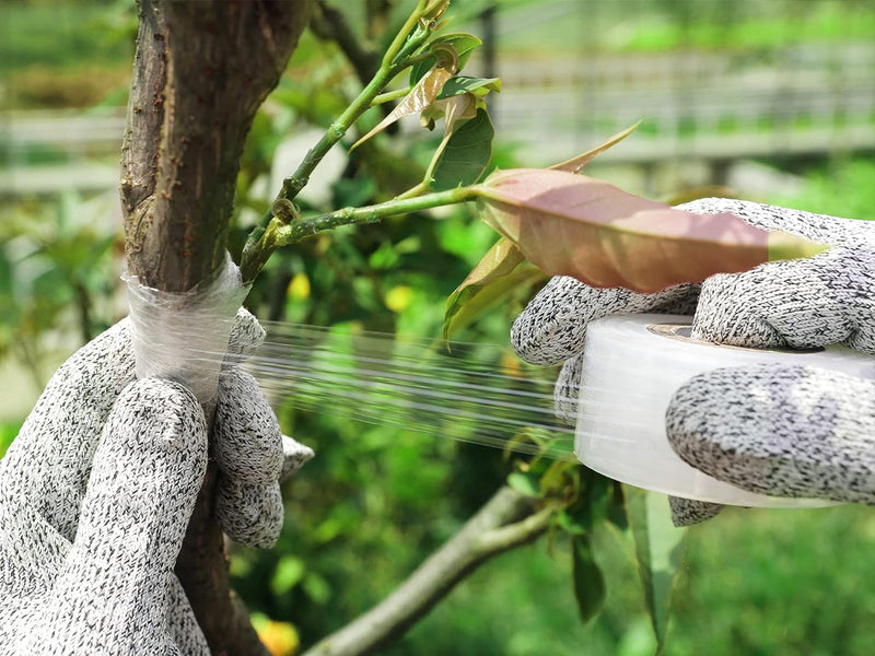 Nursery Grafting Tape, Buddy Tape for Fruit Trees/Plant Self-Adhesive PE Stretchable Film for Grafting and Budding -Garden Grafting Tool (3CM(1-1/5") W, 2 Roll) 3CM(1-1/5")W 2.0