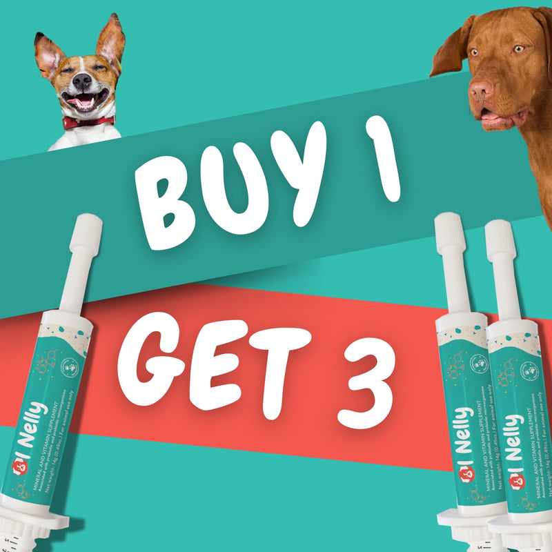 Prebiotic & Probiotic Dog Probiotic Paste, 6 Strains of Bacteria,18 Bi CFU's + Vitamins, Minerals- Upgraded Formula for Fast Balance GI, Dogs Probiotic Paste (14 g) Pack of 1 - PawsPlanet Australia