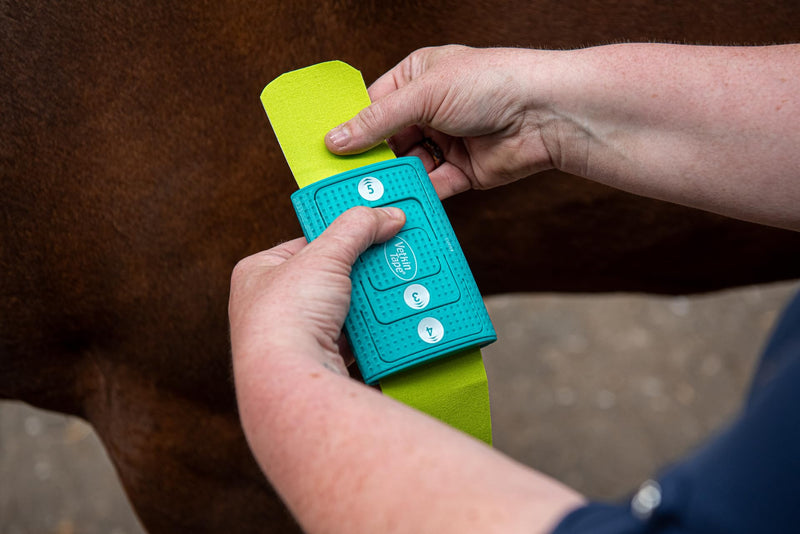 Vetkintape® Cutter: The Ultimate Kinesiology Tape Cutting Device | Effortless, Precise, and Convenient! | Pre-Cut Veterinary Kinesiology Tape On Demand | Cut 2.4 inch to Desired Lengths & Strokes