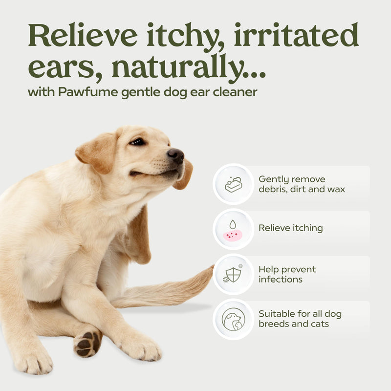 Paw Fume Dog Ear Cleaner Solution, 2-Pack – Soothe Itchy Ears Instantly – with St. John’s Wort & Almond Extracts, Vet-Certified Formula, Alcohol-Free & Sulfate-Free – Dog Ear Wash for All Breeds Pack of 2