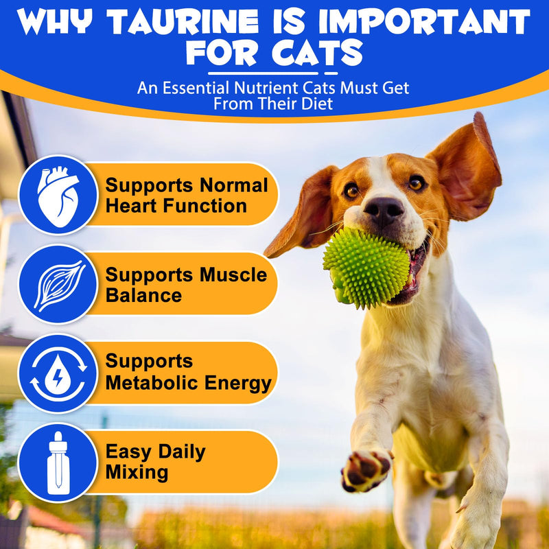 Taurine for Dogs, Taurine Liquid Supplement for Dogs, Daily Amino Acid Support for Heart Health, Vision & Immune Support, 2 FL OZ