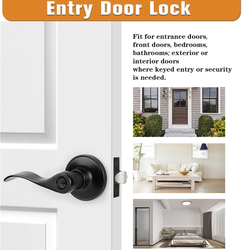 Cabagii Wave Style Door Lever Keyed Entry Black Door Handle with Lock, Entrance Lever Reversible for Left/Right Handed for Office or Front，1 Pack