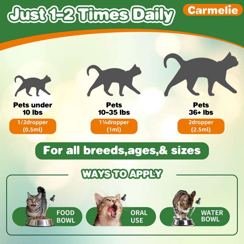 Natural Antibiotics+Flea and Tick Treats for Cats Bundle-200 Each-Cat Antibiotics with ProbioticsCat Antibiotics for Allergy Relief, Urinary Tract Support, Itch Relief, and Immune Support