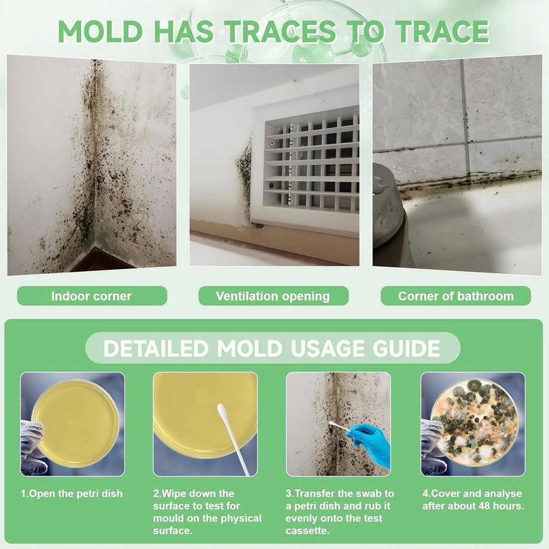 Mold Test Kit for Home | 12 Tests for Air, HVAC & Surfaces | 48-Hour Results with Identification Guide