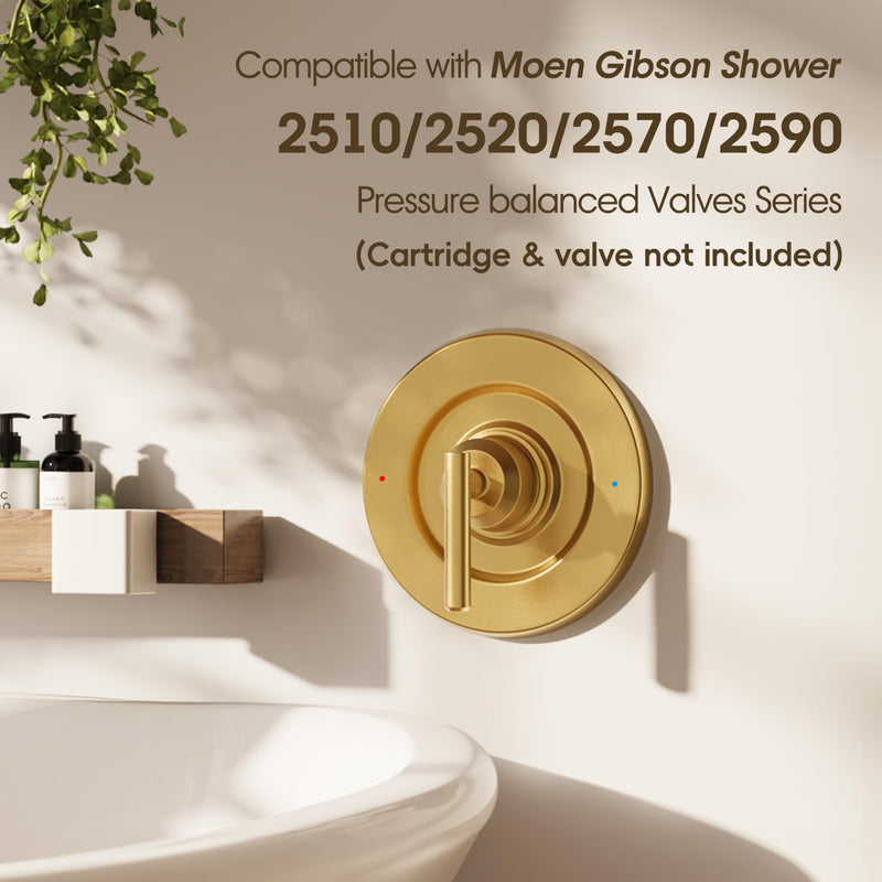 Brushed Gold Shower Trim Kit for Moen T2901 Handle, Compatible with Moen 2510/2520/2570/2590 Pressure Balanced Valve Series, Fix Wobbly Handle for Bathroom Renovation