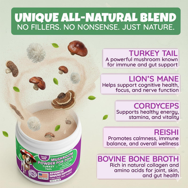 All-Natural Mushroom Powder for Dogs for Immunity, Cognition, Longevity, Bumps, and Lumps Support, Turkey Tail Mushroom for Dogs with Lion’s Mane, Reishi & Cordyceps, 4.25 oz Jar