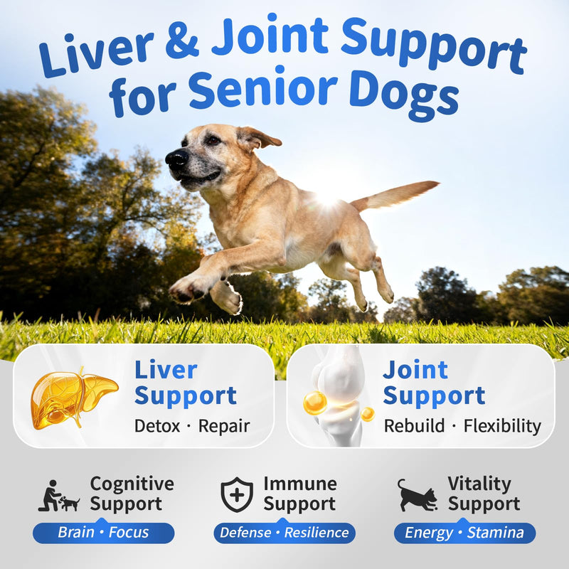 Senior Dog Liver & Joint Supplement – Same, Milk Thistle (Silybin), Glucosamine, MSM for Liver Health Detox, Mobility, Joint Pain Relief, Cognitive & Vitality Support, Chicken Flavor, 90Ct 90 Count (Pack of 1)