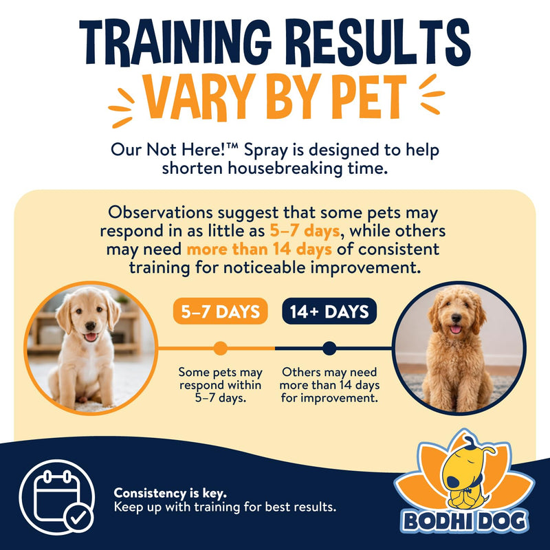 Bodhi Dog Not Here Spray - Trains Pets Where Not To Pee - Dog & Puppy Potty Training Spray to Stop Marking & Urinating Indoors or Outdoors - Safe for Furniture, Carpet & Floors - Made in USA (8 Fl Oz) Not Here! 8oz