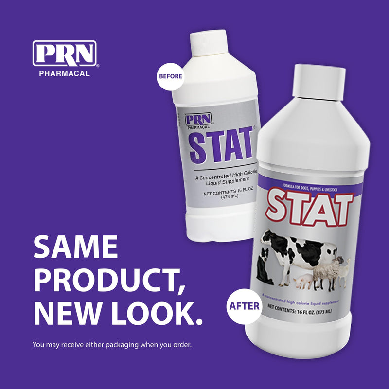 PRN Pharmacal STAT - High Calorie Nutritional Supplement to Help Restore Hydration & Nutrition Levels in Animals - Vanilla Flavored Dietary Support with Vitamin A, D3, C, E, & More - 16 Fl Oz - PawsPlanet Australia