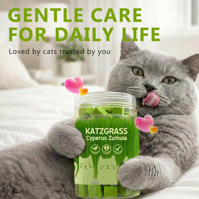 Cat Grass Treats for Indoor Cats - Freeze Dried Cat Grass Crunchy Snacks for Hairball Control and Digestive Support - Natural Kitty Grass Supplement - 4.23 oz 4.23 Ounce (Pack of 1)