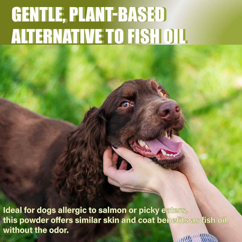 Flaxseed Oil Powder for Dogs – Skin & Coat Supplement for Itchy, Dry Skin – Natural Alternative to Fish Oil – Supports Shiny Coat, Healthy Digestion & Allergy Relief