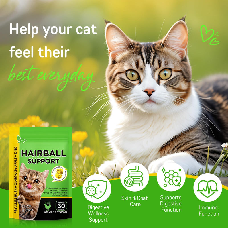 Hairball Treatment for Cats, Hairball Remedy Treats Chews, Cat Furball Treatment, Prevent Hairballs for Indoor Cats, Supports Skin & Coat, Vitamins for Digestion, Chicken Flavor (30 Day Supply) 30-Day Supply