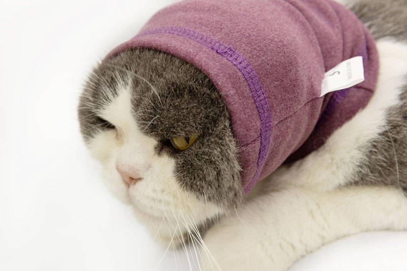 Cat Hematoma Ear Wrap, Cat Snood Anxiety Relief, Bath Accessories for Pet Grooming & Force Drying (Pail Lilac S) lilac purple Small