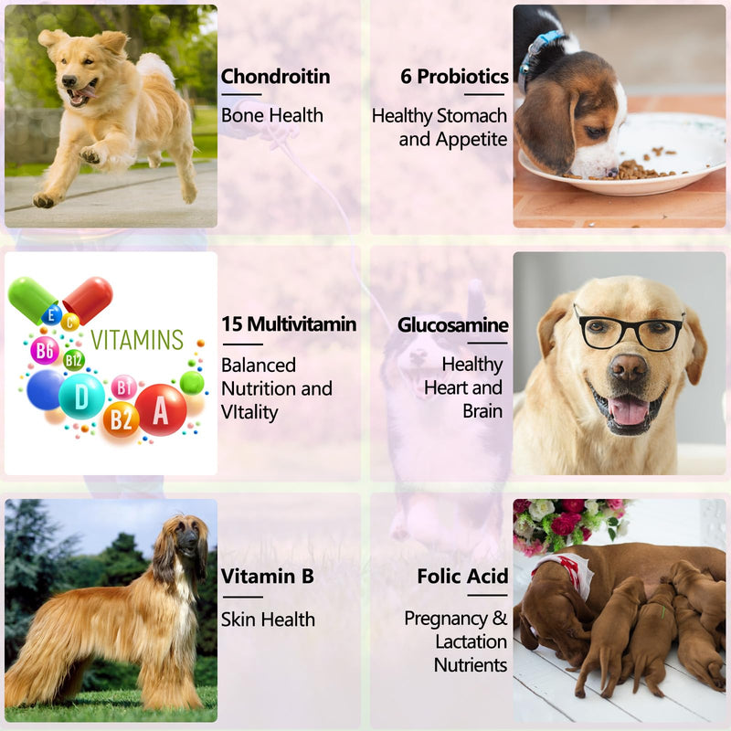 15 in 1 Dog Multivitamin, All-in-One Multi Liquid Multivitamin for Dogs, Dog Vitamins and Supplement with Digestive, Immunity, Allergy Skin & Coat Support, Hip & Joint, All Ages, Breeds 2 oz 60ml - PawsPlanet Australia