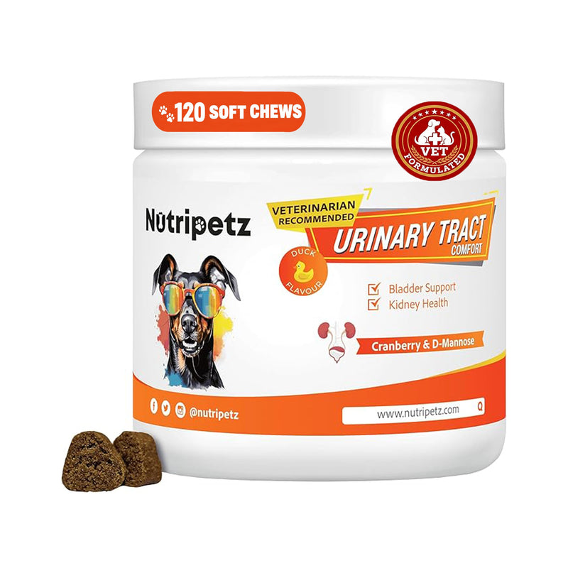 120 Cranberry Supplement for Dogs - Bladder Control for Dogs - Urinary Tract Support - Vitamin B6 & L-Arginine - Cranberry Chews with D-Mannose - Immune & Gut Support