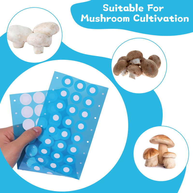 CHGCRAFT 144Pcs Synthetic Filter Paper Stickers 20mm 0.22 µm Filter Patch Sticker Disc Adhesive Filter Patch Sticker Wide Mouth Filter Paper for Mushroom Cultivation Jar Lids Mason Jars